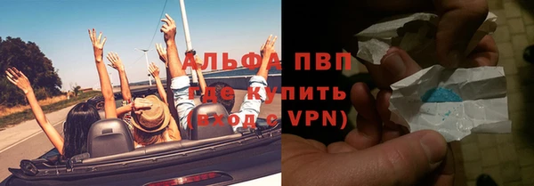 прущие грибы Балахна
