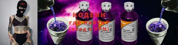 прущие грибы Балахна
