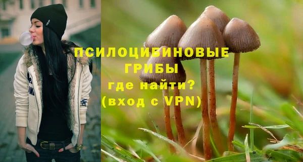 не бодяженный Протвино